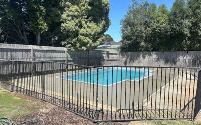 Why Should You Choose Professional Pool Design and Installation Services